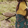 Cape Town to host global conference on gender in agriculture and water