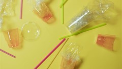 Image credit: on Pexels