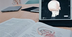 Image credit: Maria Beatriz Tavares Figueiredo on