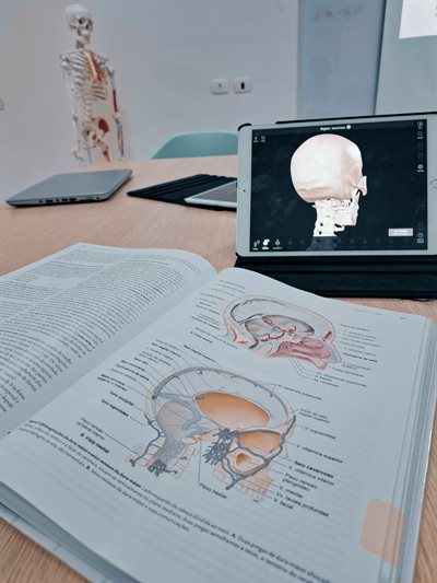 Image credit: Maria Beatriz Tavares Figueiredo on