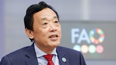 FAO urges G20 to lead on agrifood transformation amid hunger and climate crises