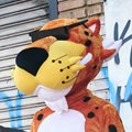Cheetos launches in SA with cheeky stunts, cheetah sightings and playful influencer campaign