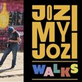 Join a walking tour to explore and celebrate Jozi&#x2019;s vibrant neighbourhoods and communities
