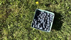 Image credit: Tula Community on