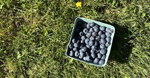 Image credit: Tula Community on