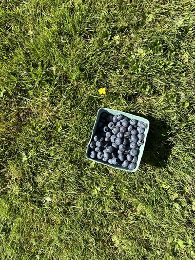 Image credit: Tula Community on