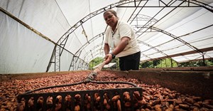 SA agro-processors from 6 provinces to woo global food importers