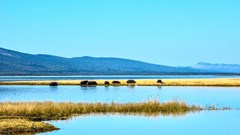 Barokologadi - ERP Melorane Game Reserve Partnership is an example of beneficiary communities forging strategic partnerships with private investors that have enabled them to put their land to effective economic use in the tourism industry (Image supplied)