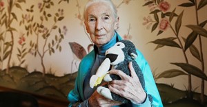 British primatologist, ethologist, and anthropologist Jane Goodall poses for a picture at the British Embassy in Buenos Aires, Argentina, August 15, 2024. Image credit: Reuters/Irina Dambrauskas