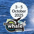 All aboard for the 2025 Hermanus Whale Festival