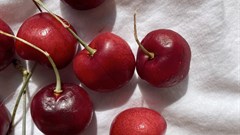 Image credit: Cora Pursley