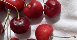 Image credit: Cora Pursley