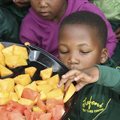 Children are dying from malnutrition: Relaxed liability can end the crisis