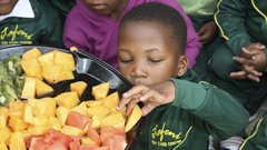 Children are dying from malnutrition: Relaxed liability can end the crisis