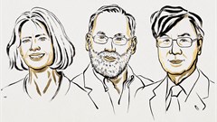 Image credit: Ill. Niklas Elmehed © Nobel Prize Outreach