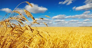 Source: Dmitry Pichugin via Fotolia