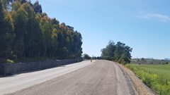 Source: Supplied. A gabion wall will support cut-slopes on Protea Road.