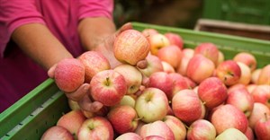 Image source: aleksandarlittlewolf from