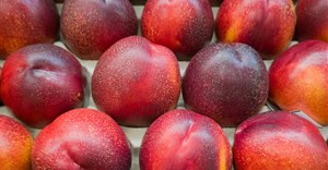 SA signs new trade protocol for stone fruit exports to China
