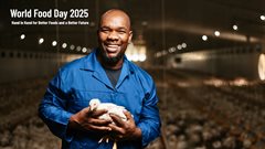 Rainbow Chicken: Hand in hand, we nourish the nation