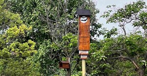 Emira champions biodiversity with non-toxic eco pest control initiative