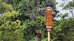 Emira champions biodiversity with non-toxic eco pest control initiative