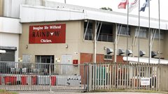 Rainbow Chicken&#x2019;s Added Value division turns 20 &#x2013; 2 decades of flavour and growth