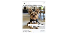 Cover Bokkie pet insurance ad found confusing