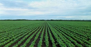 High food prices in east and southern Africa: Four steps to boost production and make markets work&#160;better