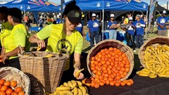 Cancelled Cape Town Marathon leads Woolworths to donate food surplus