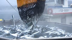 South Africa&#x2019;s &#x2018;blue gold&#x2019;: Ocean economy set to fuel jobs and growth