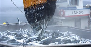 South Africa&#x2019;s &#x2018;blue gold&#x2019;: Ocean economy set to fuel jobs and growth