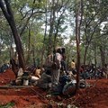 People illegally mine for gold in this forest in north-western Zambia. Photos and videos supplied