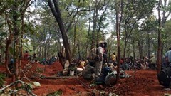 People illegally mine for gold in this forest in north-western Zambia. Photos and videos supplied