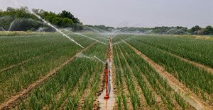 Image credit:  on Pexels