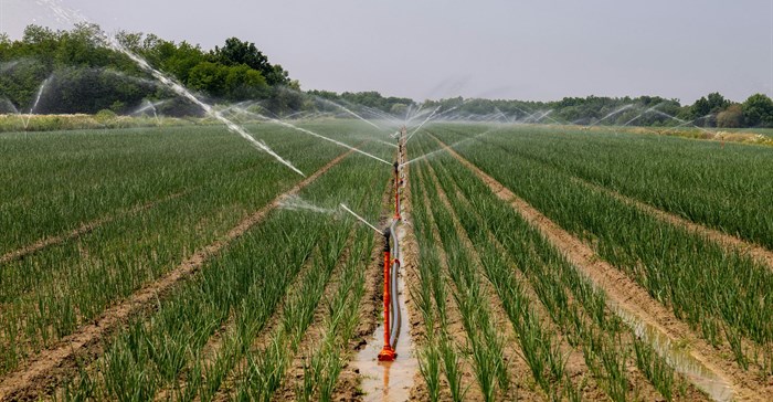 Image credit:  on Pexels
