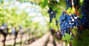 Source: JillWellington via