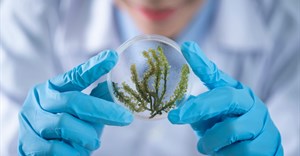 SA algae-fuel startup wins world’s largest green business competition