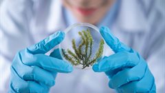 SA algae-fuel startup wins world&#x2019;s largest green business competition