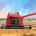 Record grain harvest showcases resilience of SA farmers
