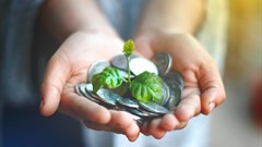 Image credit:  on Pexels