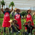 Shoprite and Checkers host Market Day 2025 to empower community farmers