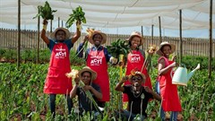 Shoprite and Checkers host Market Day 2025 to empower community farmers