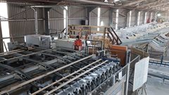 Cape Forest Products creates a sustainable timber future