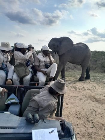 Source: Good Work Foundation: Good Work Foundation Conservation Academy students marvel at seeing an elephant up close in its natural habitat. More young people adjacent to South Africa’s national parks will soon have the opportunity to access vocation-specific conservation education, thanks to a new partnership between SANParks and GWF.