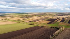 Source: frimufilms via