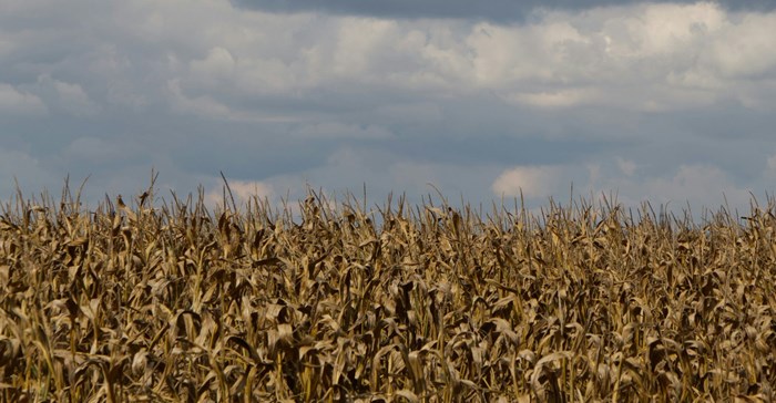 What will it take to make Africa food secure? G20 group points to trade, resilient supply chains and sustainable&#160;farming