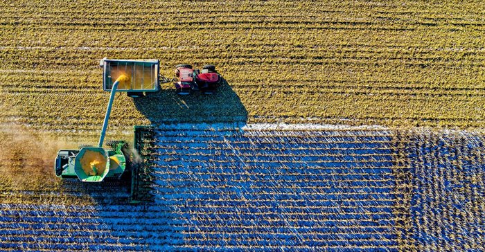 Why Africa&#x2019;s food future depends on its women farmers