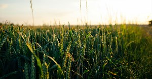 North West targets 6,000 hectares for crop production