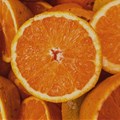 South African oranges win US tariff exemption ahead of 2026 season